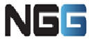 NexGen Global Sdn Bhd